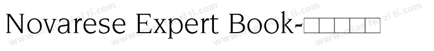 Novarese Expert Book字体转换